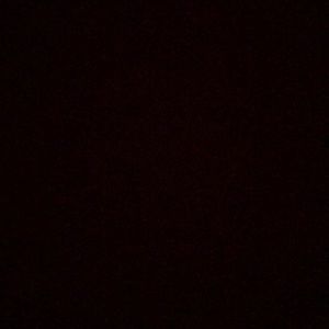 Meet your Posher, Theodora